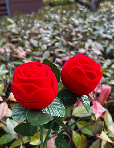 Limited Edition Vday Rose Lashes